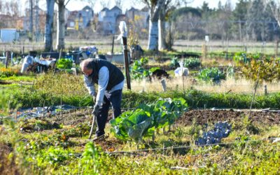 HUERTOS ECOLÓGICOS de INEA
