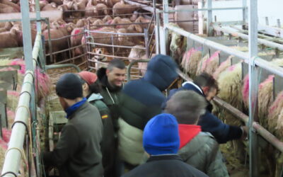 GRANJA ESCUELA LAS CORTAS DE BLAS