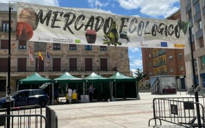 BIOPROEZA – MERCADO ECOLÓGICO «PLAZA ECOLÓGICA»