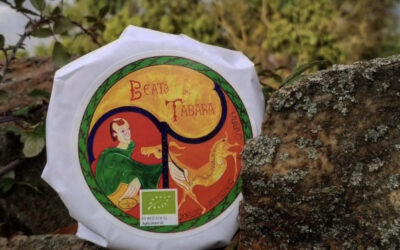 QUESO ECOLÓGICO BEATO DE TÁBARA