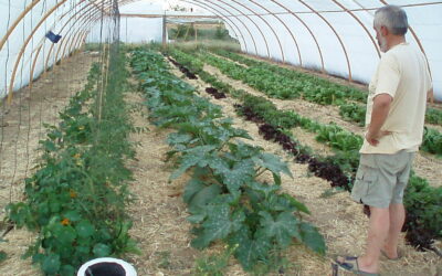 FINCA AGROECOLÓGICA LAS GABELAS