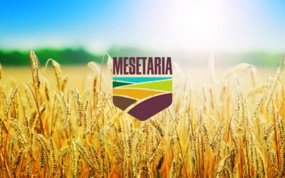 MESETARIA DE ALIMENTOS – Cooperativa ecológica